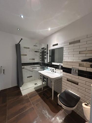 une salle de bain avec un lavabo, des toilettes et un miroir dans l'établissement Auberge les Galets, à Peyruis