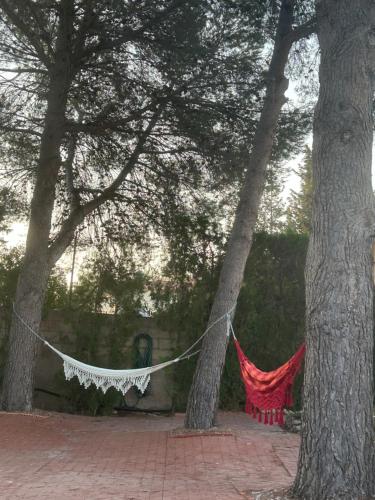 Zahrada ubytování Finca Malata