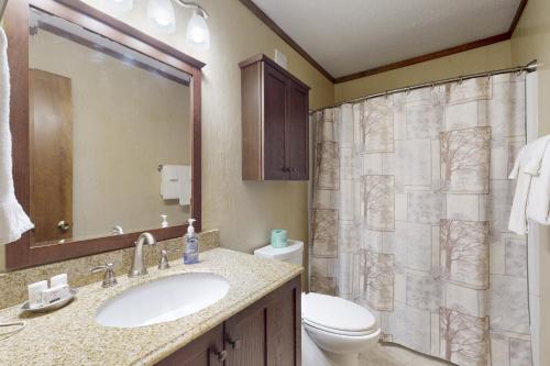 a bathroom with a sink and a toilet and a shower at The Pinnacle Inn 3318 in Beech Mountain