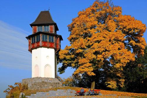 a lighthouse on top of a hill next to a tree at Apartman Q11 in Sokolov