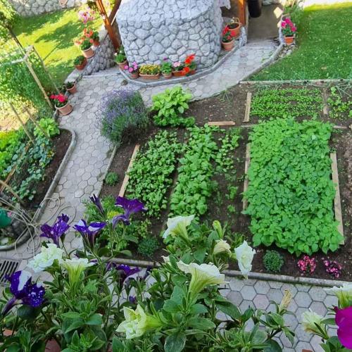a garden with plants and flowers in a yard at Holiday home in Lokve, Croatia 47707 in Lokve