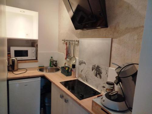 a small kitchen with a sink and a microwave at Gîte des Fours in Agonges