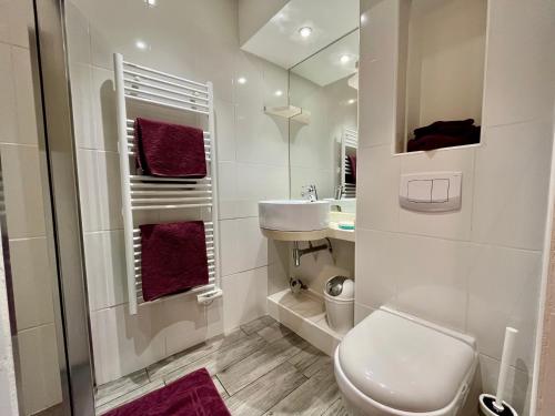 une salle de bain avec toilettes, lavabo et miroir dans l'établissement Appartement Le Suquet proche Croisette, à Cannes
