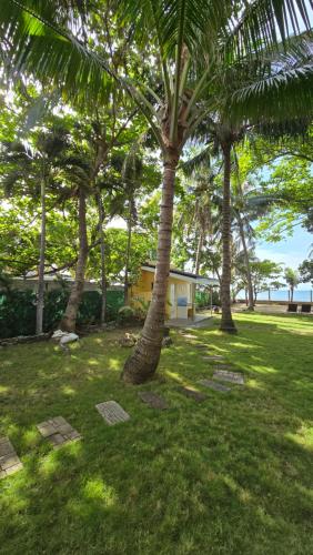 Κήπος έξω από το Shachi Beach House