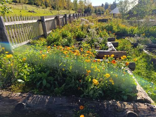 a garden with flowers and a wooden fence at Srub Javorná - apartmány Šumava in Javorná