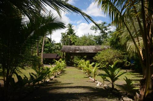 a path through a garden with a bench and palm trees at Casa Cielito in Nuquí