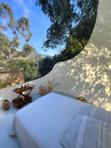 - une chambre avec un lit et une vue sur la forêt dans l'établissement Bulle du Fangu, à Galéria