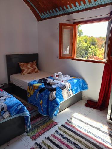 a bedroom with two beds and a window at Toto Kato in Jazīrat Aswān