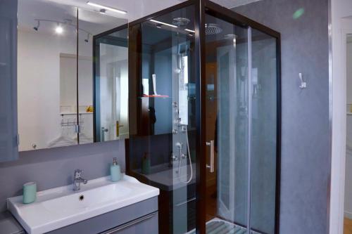 une salle de bain avec un lavabo et une douche en verre dans l'établissement Les Templiers, à Dole