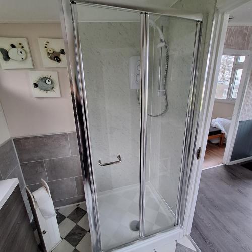 a shower with a glass door in a bathroom at 18 Sea Valley Bideford Bay Park Dean in Bideford