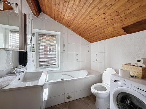 a bathroom with a toilet and a sink and a washing machine at F3 refait à neuf en centre ville Liberation in Clermont-Ferrand