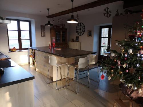 un salon avec un arbre de Noël et une cuisine dans l'établissement La Houssière Maison à la campagne, à La Houssière