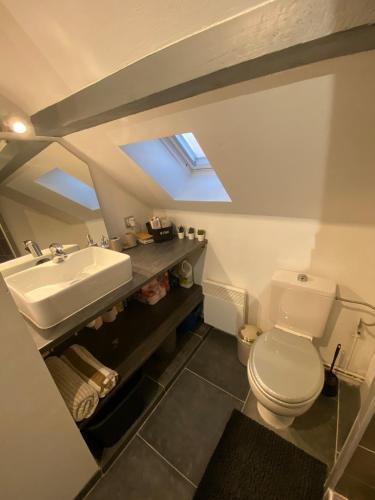une salle de bain avec des toilettes blanches et un lavabo dans l'établissement Au Pays Des Cigognes, à Colmar