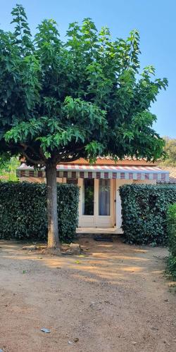 Studio 30 m2 climatisé calme