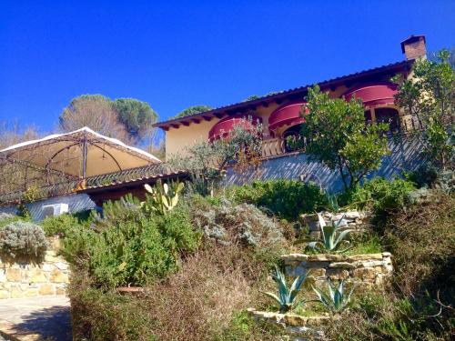 a house on the side of a hill with plants at B&B Pino del Capitano in Dicomano