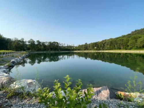a large pond with trees in the background at La casa dei poeti in Cervasca