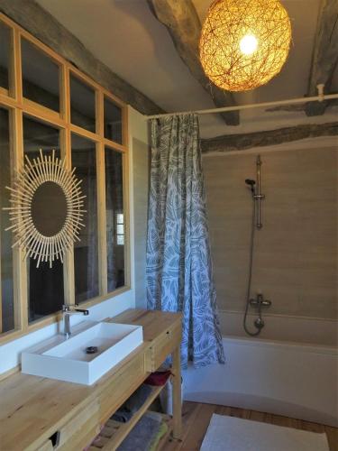 une salle de bain avec un lavabo, une douche et un miroir dans l'établissement Noisette and Co, à Saint-Cyprien