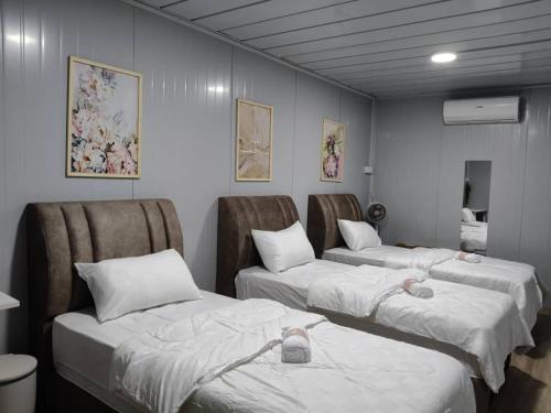 Tiny House Merchang, Marang Roomstay Homestay