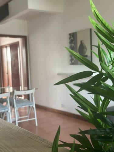 a plant in a room with a table and chairs at AZORES PEDRA APARTMENTS - T0 e T1 in Ponta Delgada