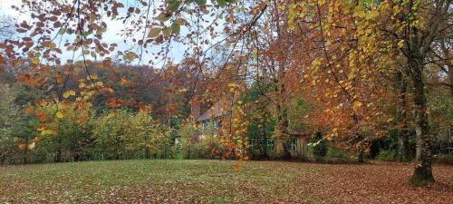 a yard with a house and trees with leaves at Kongsø Bed & Breakfast in Bryrup