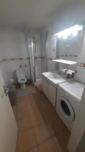 "L'Ostal Daouan" Grand appartement 8 personnes proche La Mongie et Payolle في كامبان: حمام مع غسالة ومغسلة