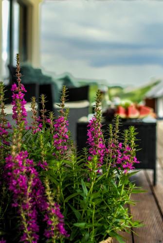 a bunch of purple flowers on a wooden table at Pajda Mazur - Ośrodek wypoczynkowy in Stare Jabłonki