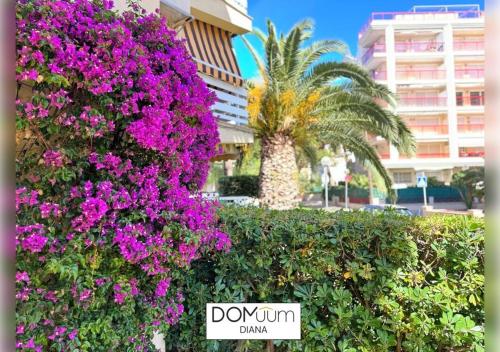 DOMuum Holidays - DIANA Family Home