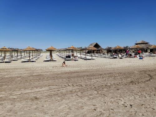 a group of chairs and umbrellas on a beach at Basilicata Host to Host - La Conchiglia in Metaponto