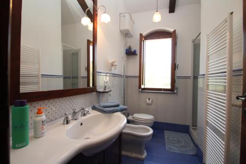 łazienka z umywalką, toaletą i lustrem w obiekcie Villa Tresino B&B w mieście Santa Maria di Castellabate