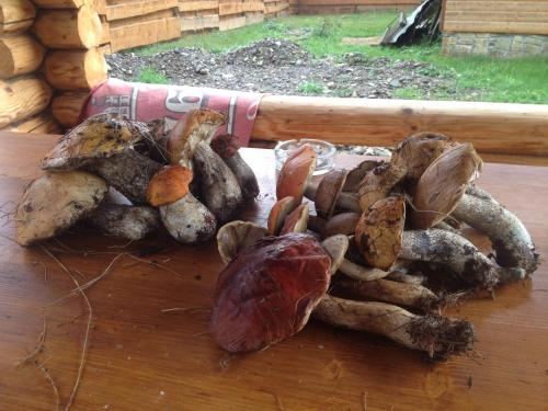 a pile of different types of mushrooms on a table at Guest House Pid Dubom Карпати Під Дубом in Skole