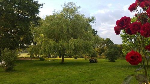 Taman di luar La Bercéenne