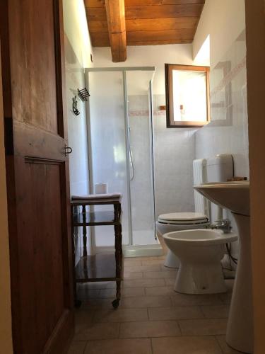 a bathroom with a shower and a toilet and a sink at CASA VACANZE per Famiglie Agriturismo Montepolo in Canavaccio di Urbino