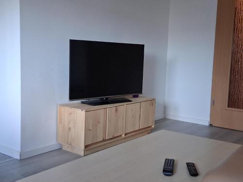 a flat screen tv on a wooden stand in a room at Pension Ronnys wilde Wiese in Belgershain