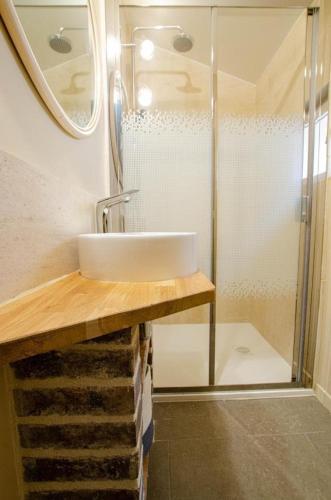 une salle de bain avec un lavabo et une douche dans l'établissement Le Petit Cosy Champenois, à Lesmont