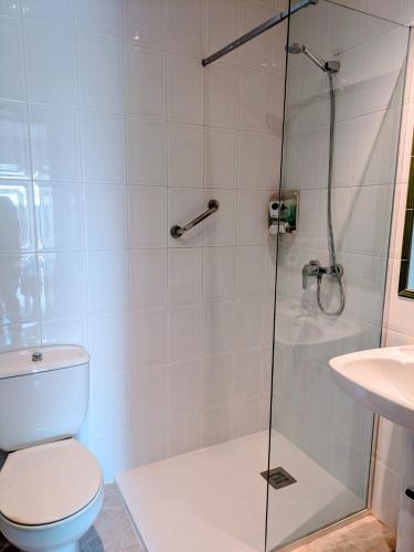 a bathroom with a shower with a toilet and a sink at Apartamentos Mitus in Canet de Mar