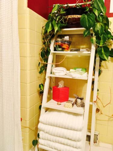 a towel ladder in a bathroom with a stack of towels at Happy Haven w hottub, Gym, & hammocks in West AVL in Asheville