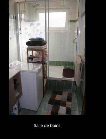 une salle de bain avec une douche, un lavabo et une baignoire dans l'établissement Maison du Schaudi, à Metzeresche