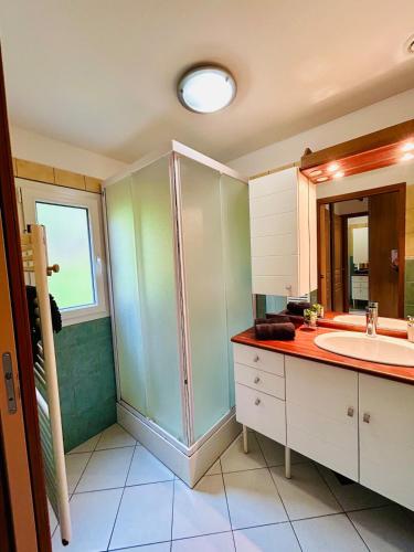 une salle de bain avec une douche en verre et un lavabo dans l'établissement Pré Ferry - gîte au coeur de la nature, à Gérardmer