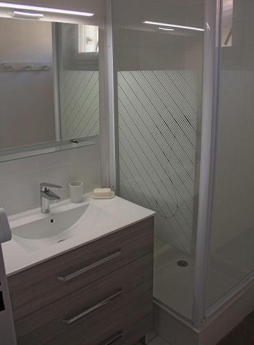 une salle de bain avec un lavabo et une douche dans l'établissement Jolie Villa bord de mer accès direct, à Frontignan