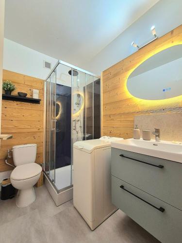 une salle de bain avec toilettes, lavabo et douche dans l'établissement Le Repaire de la Marmotte, à Mulhouse