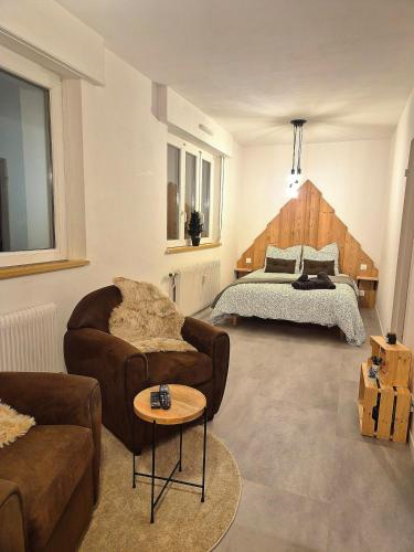 un salon avec un lit et un canapé dans l'établissement Le Repaire de la Marmotte, à Mulhouse