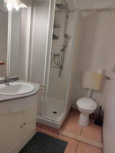 une salle de bain avec une douche, des toilettes et un lavabo dans l'établissement L'escale Azurienne, à Nice