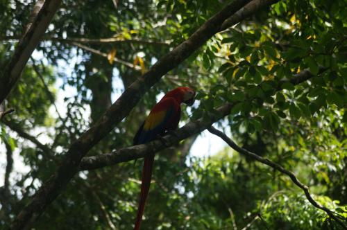 Clientes alojados en Nature Lovers Quepos