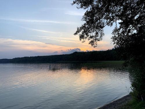 a view of a lake with a person in the water at Nachhaltige Wohnung im Seenland in Cantnitz