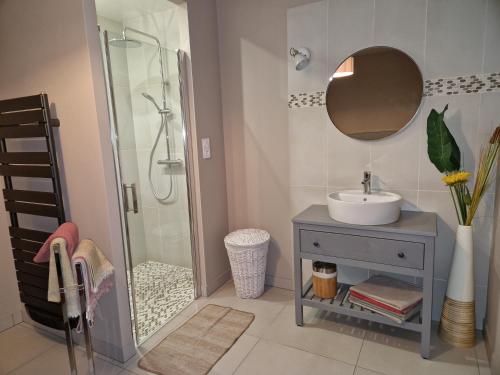une salle de bain avec un lavabo et une douche dans l'établissement L' Albizia, à Pintheville