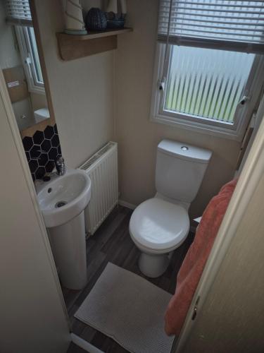 a small bathroom with a toilet and a sink at 3 bedroom Caravan Craigtara in Ayr