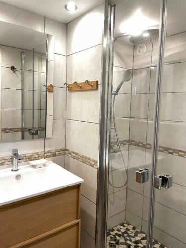 une salle de bain avec douche et lavabo dans l'établissement Charming stay in an Authentic Corsican Village, à Zalana