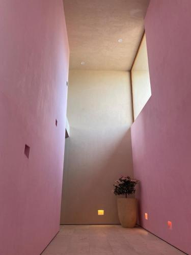 a hallway with pink walls and a potted plant at Casa Yazmín- Viñedos Puerta del Lobo in Amascala