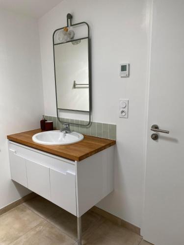 une salle de bain avec un lavabo et un miroir dans l'établissement Studio 2-3 pers, à La Gaubretière