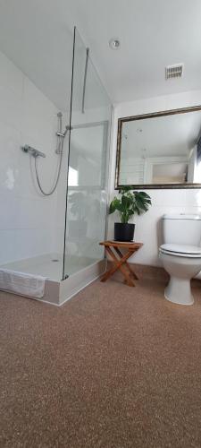 a bathroom with a shower and a toilet and a plant at Earsham Street House in Bungay